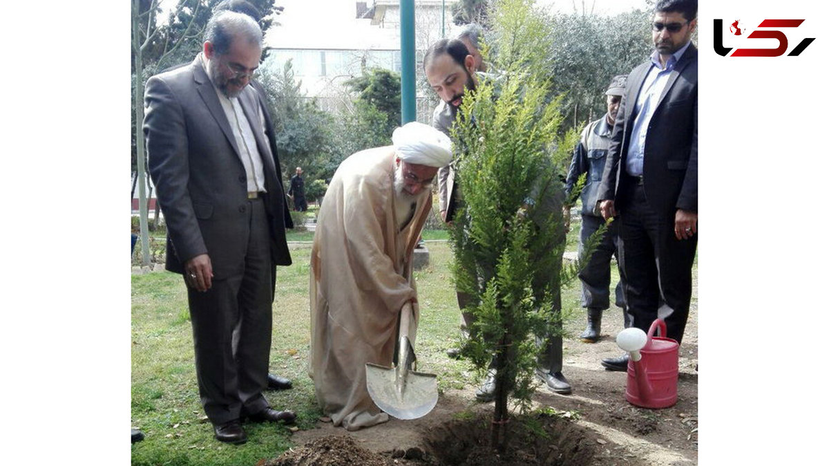 یک اصله نهال بدست آیت‌الله جنتی غرس شد