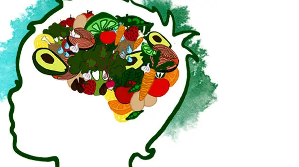 لیست غذاهای گرم مزاج و سرد مزاج