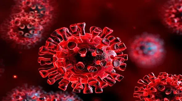 کشف شهر جدیدی از بیماران کرونایی در چین