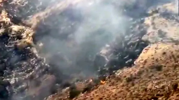 آتش‌سوزی گسترده در ارتفاعات دشتستان مهار شد + فیلم