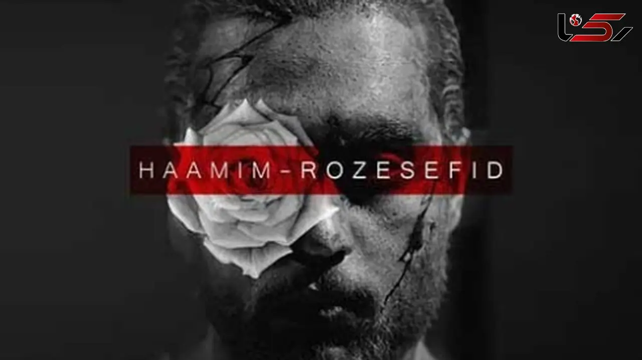 دانلود آواز باشکوه زیبای «رز سفید» از حامیم/ تو یه رویایی که نمیرسی به دستم...