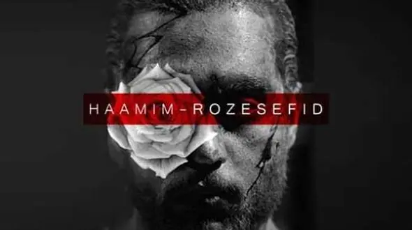 دانلود آواز باشکوه زیبای «رز سفید» از حامیم/ تو یه رویایی که نمیرسی به دستم...