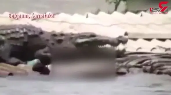 موجودی وحشتناک و غول‌پیکر که پس از جاری شدن سیل پدیدار شد+ فیلم