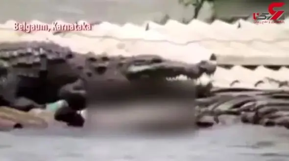 موجودی وحشتناک و غول‌پیکر که پس از جاری شدن سیل پدیدار شد+ فیلم