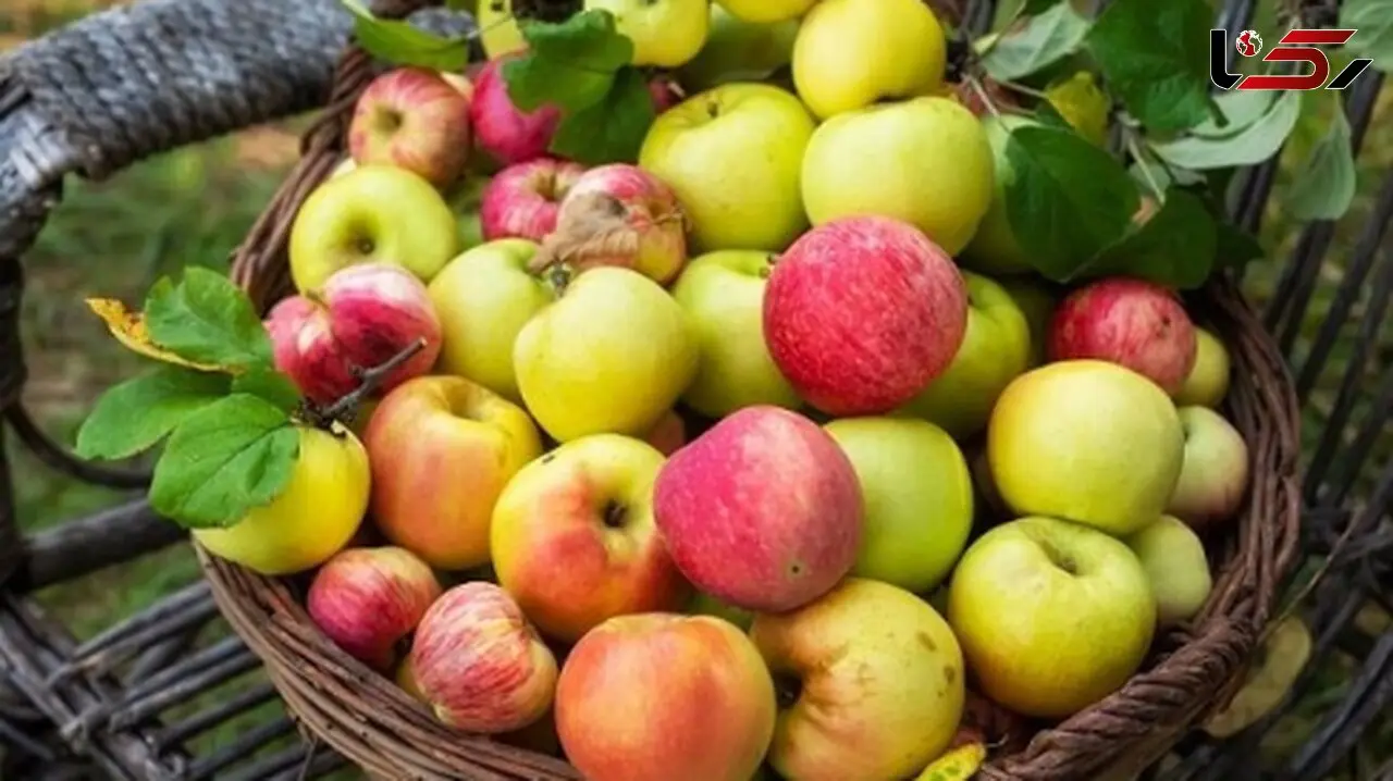 سیب، راهی ساده برای مدیریت کلسترول و قند خون شما