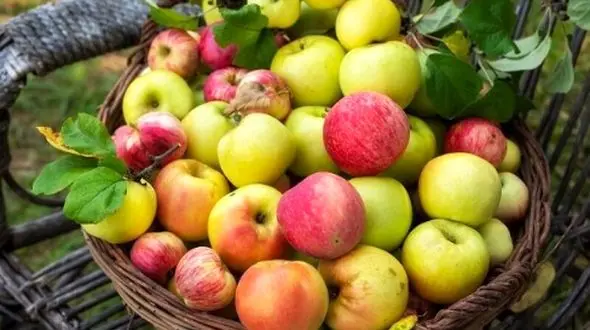 سیب، راهی ساده برای مدیریت کلسترول و قند خون شما