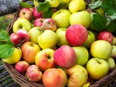 سیب، راهی ساده برای مدیریت کلسترول و قند خون شما