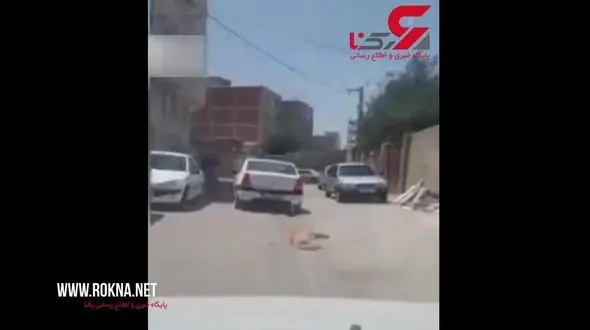دستگیری مرد اردبیلی که سگی را به ماشینش بست و روی زمین کشید+ تصویر تلخ