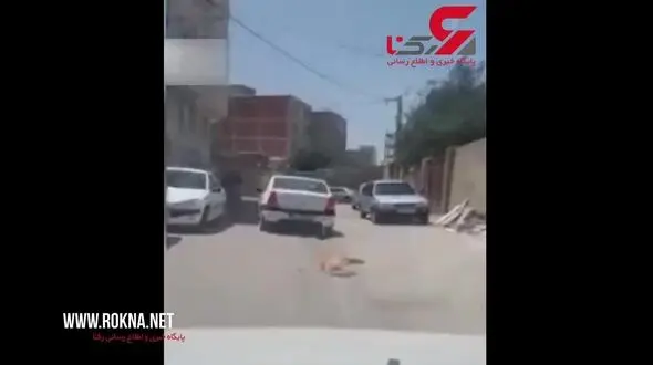 دستگیری مرد اردبیلی که سگی را به ماشینش بست و روی زمین کشید+ تصویر تلخ