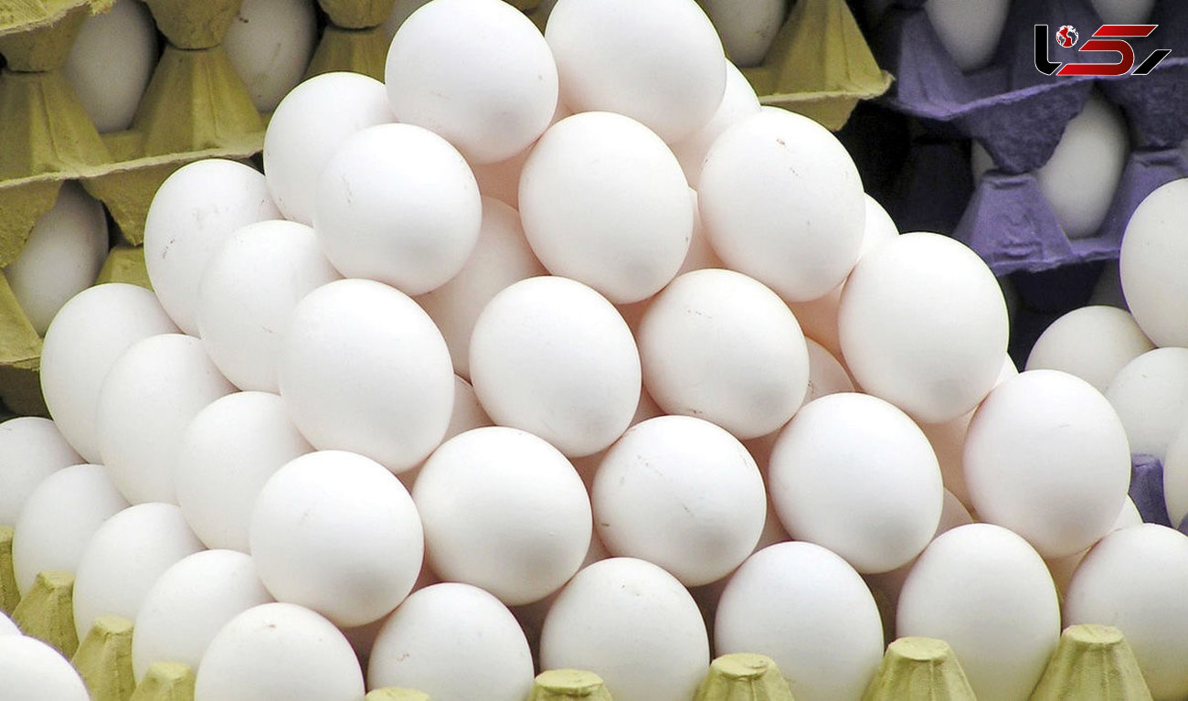 عوارض صادرات هر کیلوگرم تخم مرغ تا پایان آبان اعلام شد 