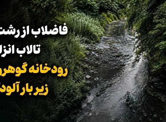 فاضلاب از رشت تا تالاب انزلی؛ رودخانه گوهررود زیر بار آلودگی + فیلم