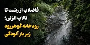 فاضلاب از رشت تا تالاب انزلی؛ رودخانه گوهررود زیر بار آلودگی + فیلم