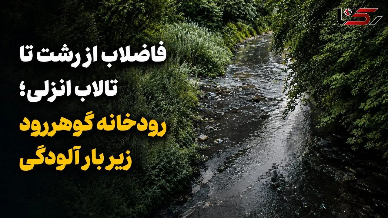 فاضلاب از رشت تا تالاب انزلی؛ رودخانه گوهررود زیر بار آلودگی + فیلم