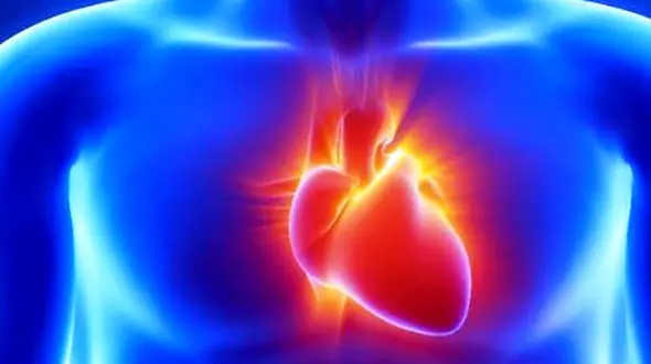 ایست ناگهانی قلب چطور باعث مرگ می‌شود؟