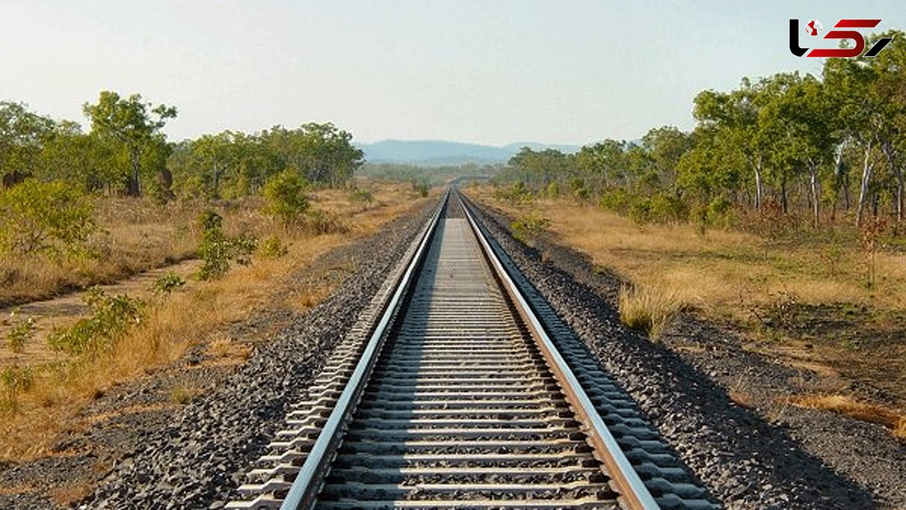 Iran, Afghanistan agree to develop intl. railway link: MP