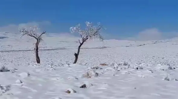 ببینید / طبیعت زیبای برفی دشتخاک زرند در استان کرمان