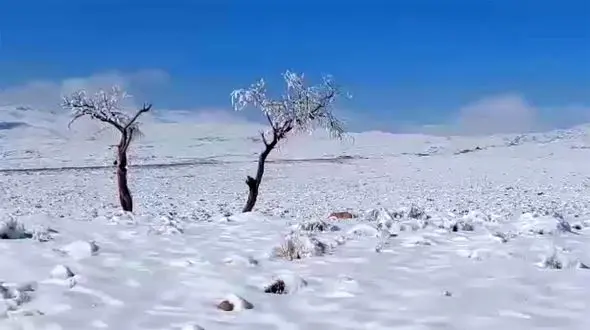 ببینید / طبیعت زیبای برفی دشتخاک زرند در استان کرمان