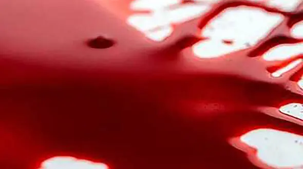 دستگیری متهمان به قتل جوان گناوه‌ای در گچساران