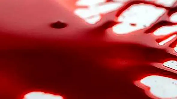 دستگیری متهمان به قتل جوان گناوه‌ای در گچساران