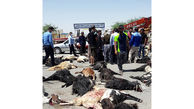 فیلم مرگ مشکوک 50 گوسفند  / فرماندار مسجد سلیمان وارد عمل شد