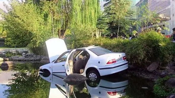 سقوط عجیب سمند به برکه وسط پارکی در تهران + عکس