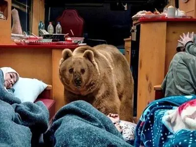 فیلم /سیروس مقدم درباره خرس سریال پایتخت: نخواستیم ضربه روحی به خرس وارد شود با عزت و احترام با حیوان برخورد کردیم/ برای خرس عسل و ماهی دادیم فکر می کنم دو تا سه ساعت آنجا بود و بعد هم خوابید 