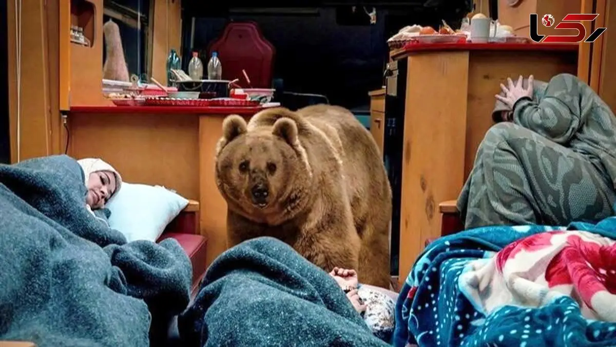 فیلم /سیروس مقدم درباره خرس سریال پایتخت: نخواستیم ضربه روحی به خرس وارد شود با عزت و احترام با حیوان برخورد کردیم/ برای خرس عسل و ماهی دادیم فکر می کنم دو تا سه ساعت آنجا بود و بعد هم خوابید 
