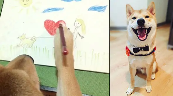  سگ باهوشی که نقاشی می کند+فیلم و عکس
