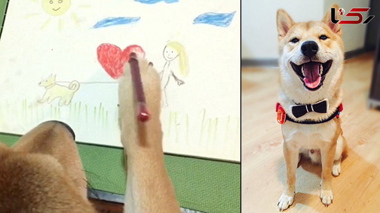  سگ باهوشی که نقاشی می کند+فیلم و عکس