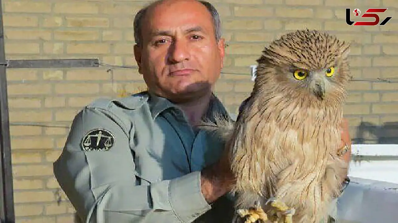 قاتل محیط بان خائیز شناسایی شد