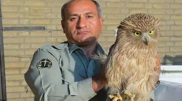 قاتل محیط بان خائیز شناسایی شد