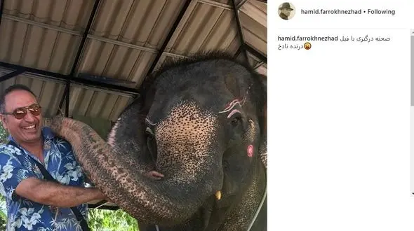 
صحنه درگیری حمید فرخ‌نژاد با فیل +عکس
