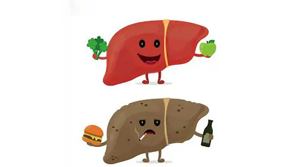 بیش از ۳۰ درصد ایرانی‌ها کبد چرب دارند / این غذاها را مصرف نکنید