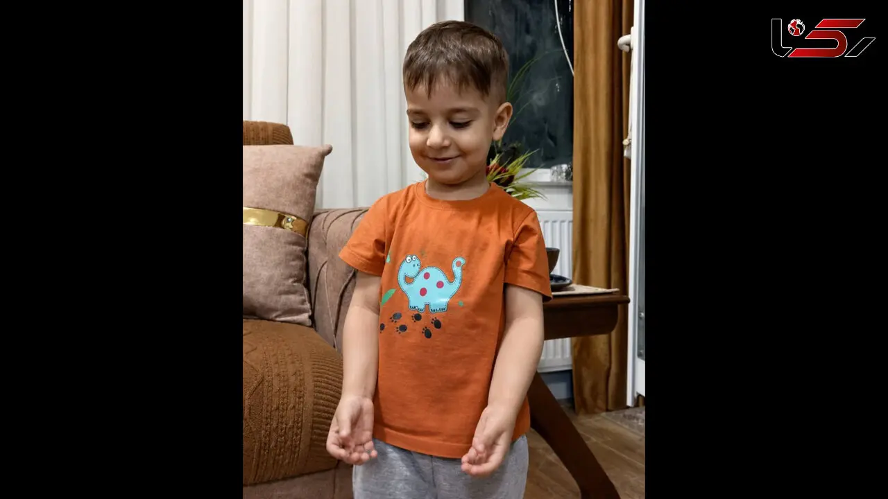 تشکیل پرونده قضایی پس از مرگ دلخراش کودک 3 ساله در حمله سگ‌های بلاصاحب / 2 مدیر شهرداری بازداشت شدند