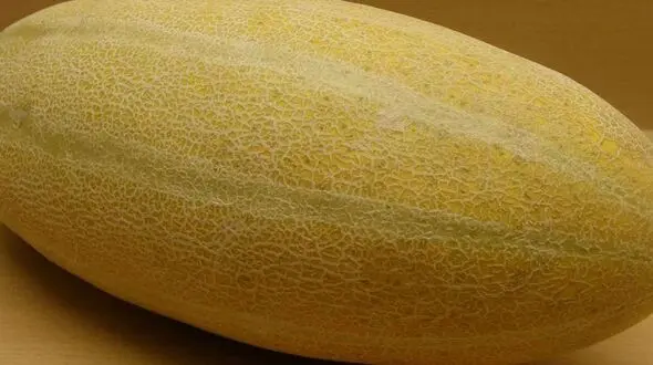 با این روش، لکه خربزه خشک شده را از روی فرش پاک کنید؟