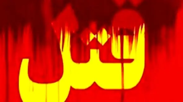 قتل هولناک مادر زن به دست داماد در لواسان / گفتگو با متهم