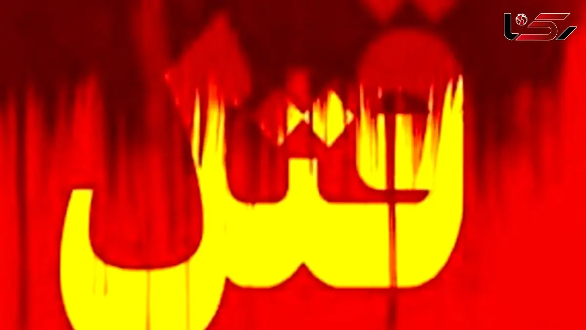 قتل هولناک مادر زن به دست داماد در لواسان / گفتگو با متهم