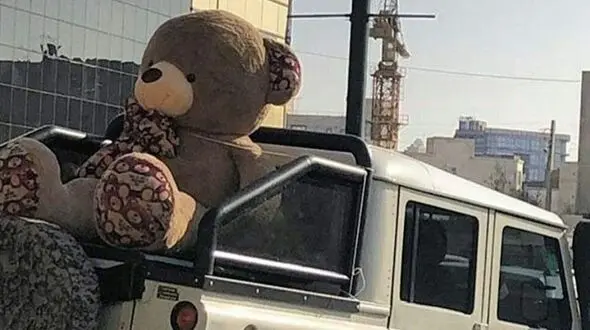 حضور خواننده معروف در جشن تولد لاکچری یک سگ خانگی در تبریز !