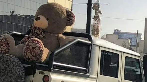 حضور خواننده معروف در جشن تولد لاکچری یک سگ خانگی در تبریز !