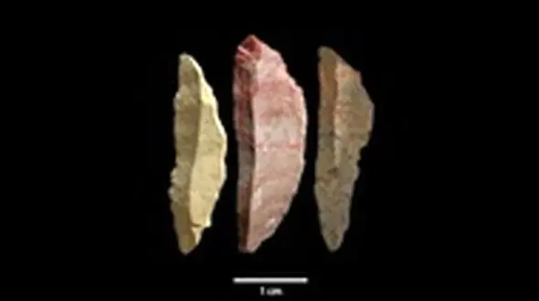 کشف ابزارهای شکار 71 هزار ساله + عکس