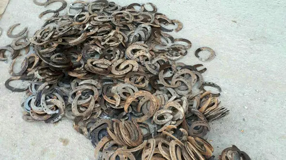 کشف قاچاق نعل اسب توسط ماموران گمرک! + عکس 