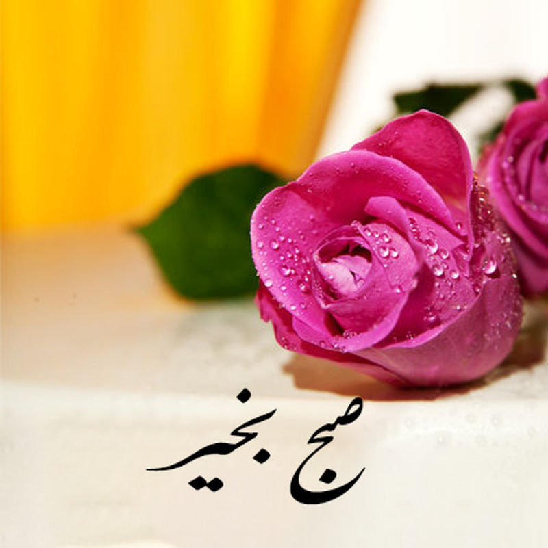 صبح بخیر