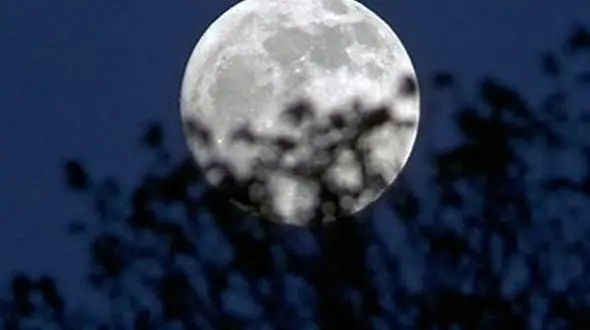 از دل جنگل تا آسمان شب سفری به آرامش