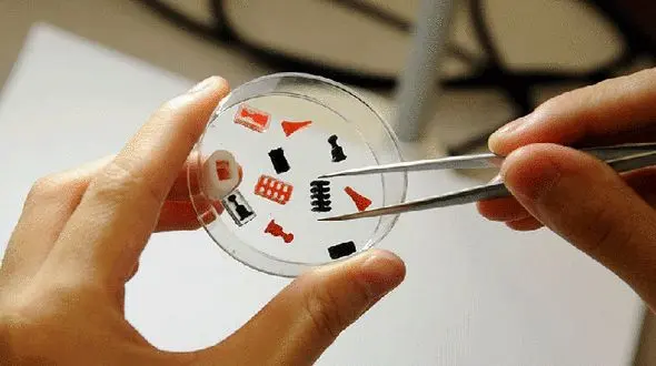 آقایان هم می توانند قرص جلوگیری از بارداری بخورند! 