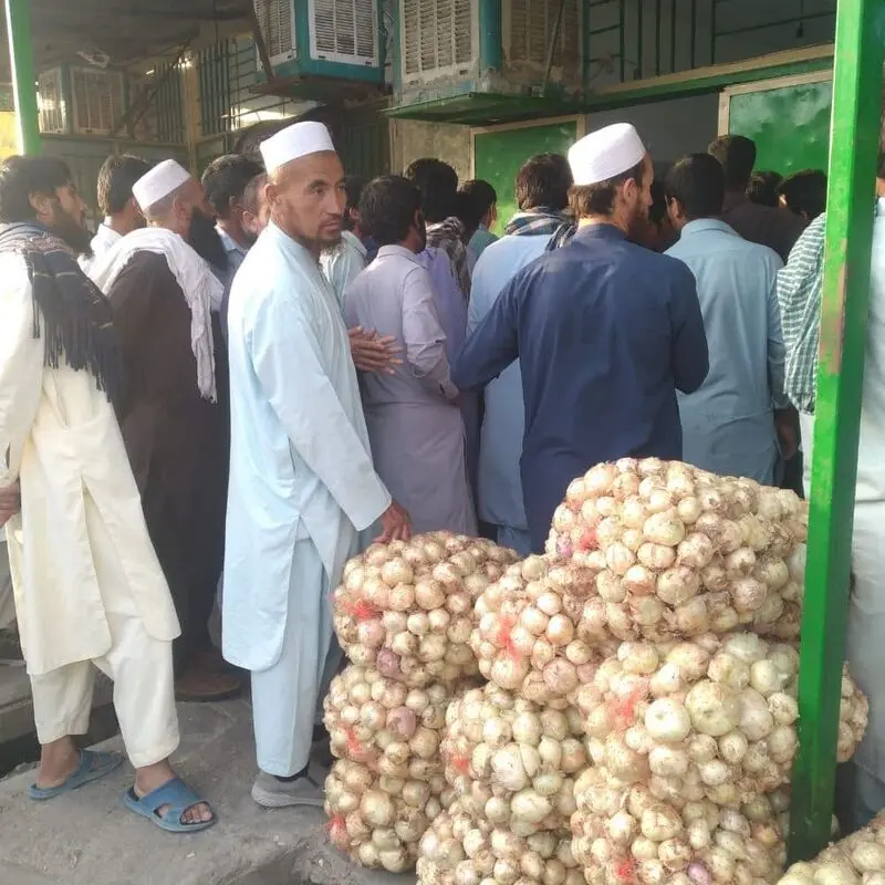 کرونا سیستان و بلوچستان