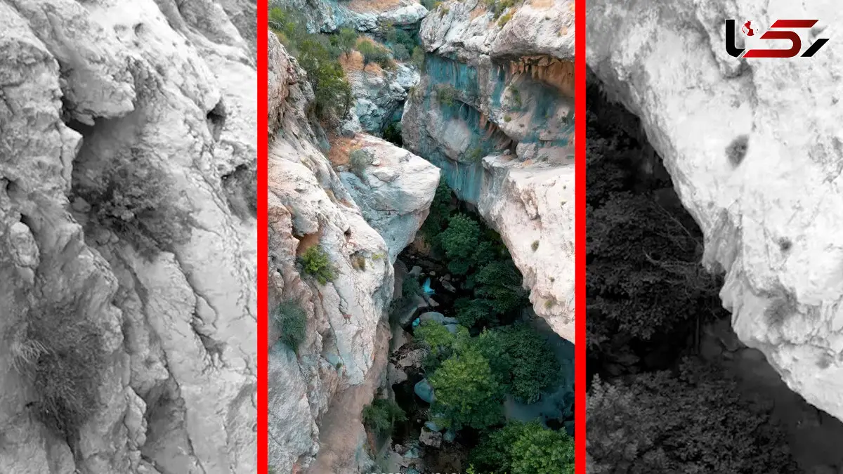 فیلم جریان آب و آواز پرندگان در تنگ تامرادی