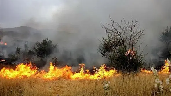 تهرانی ها در صورت مشاهده آتش سوزی در مراتع و جنگل ها با شماره 1504 تماس بگیرند