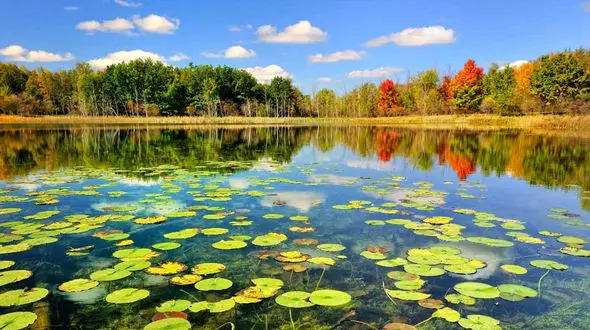 آسمان گیلان شما را مسحور می کند / عکس