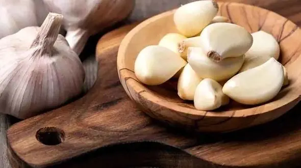 خواص مشترک گیاه مرزه با سیر