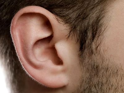 سکته گوش؛ علائم، دلایل و روش‌ های پیشگیری از این خطر شنوایی